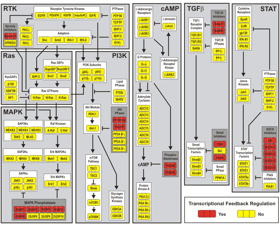 computational biology phd thesis computational biology phd thesis