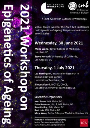 Workshop on Epigenetics of Ageing
