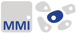 Molecular Machines & Industries (MMI)